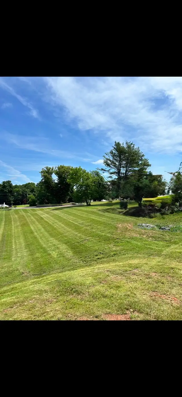 Lawn mowing services - Photo 2