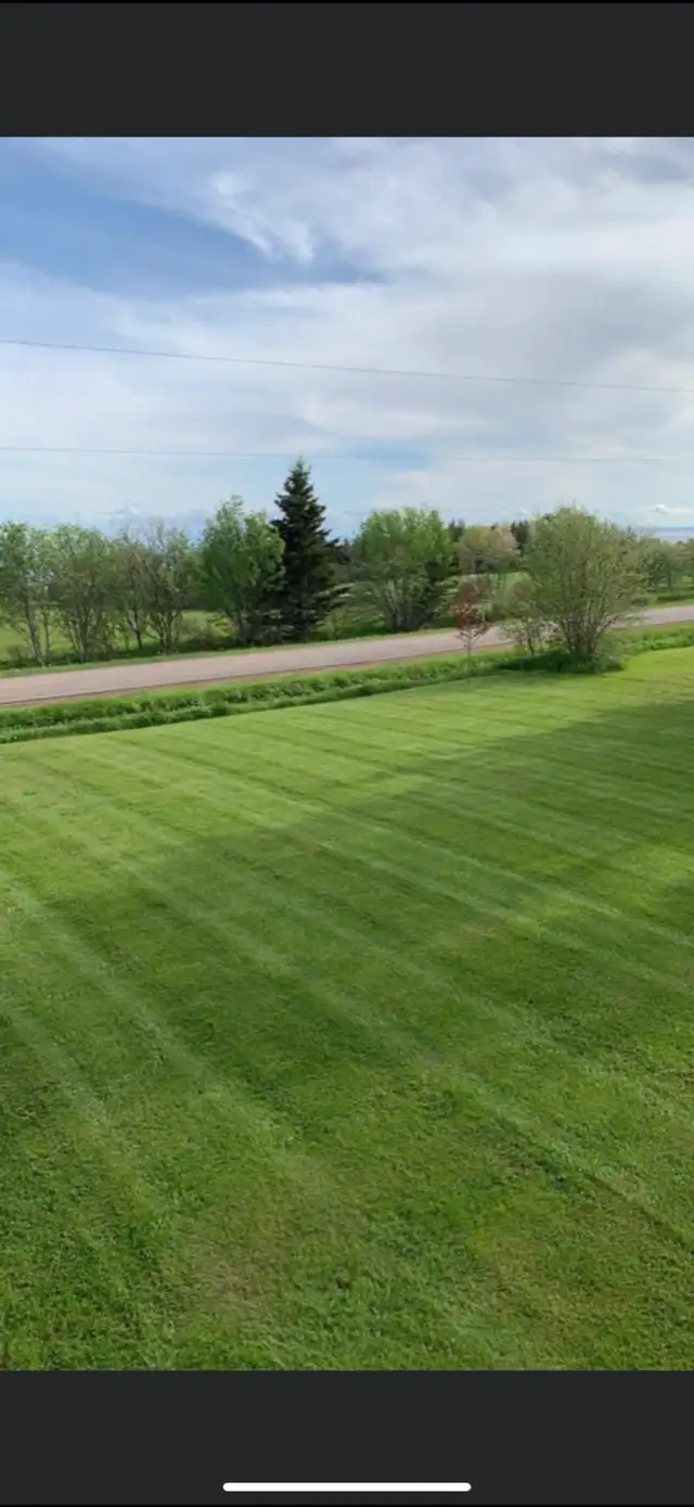 Lawn mowing services - Photo 3