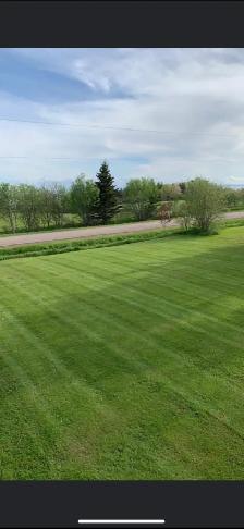 Lawn mowing services - Photo 3