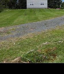Lawn mowing services - Photo 4