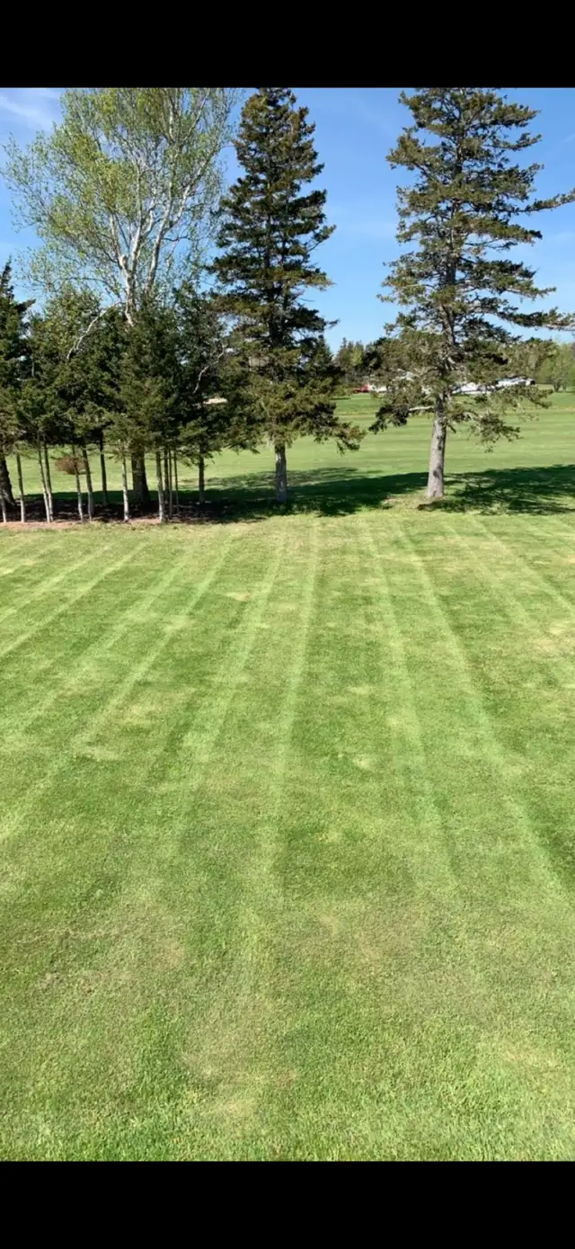 Lawn mowing services - Photo 5