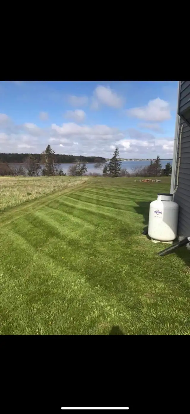 Lawn mowing services - Photo 6