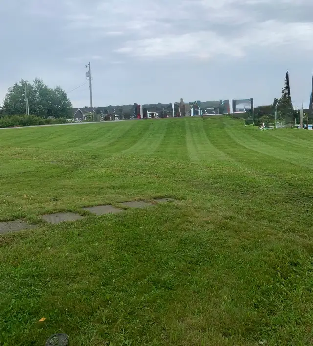 Lawn mowing services - Photo 7