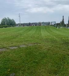Lawn mowing services - Photo 7