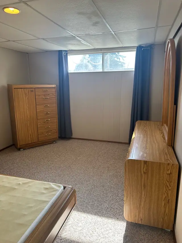 Basement suite on Farm near Millet,AB - Photo 5