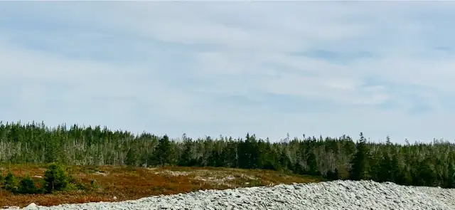 Ocean Front Opportunity! - Photo 2