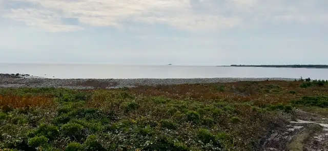 Ocean Front Opportunity! - Photo 3