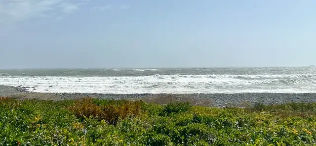 Ocean Front Opportunity! - Photo 7