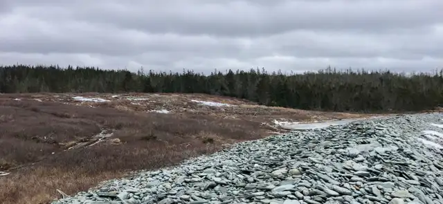 Ocean Front Opportunity! - Photo 8