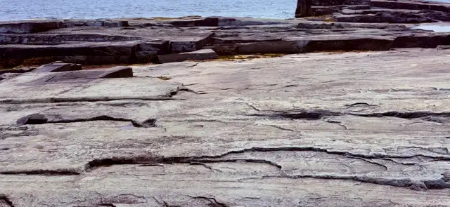 Ocean Front Opportunity! - Photo 10