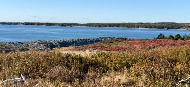 Ocean Front Opportunity! - Photo 11