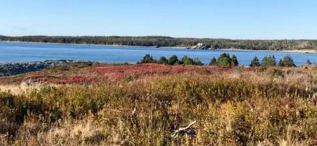 Ocean Front Opportunity! - Photo 12