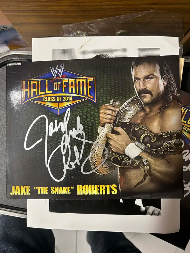 COLLECTIBLE TOYS GALORE COME OUT AND SEE! - Photo 10