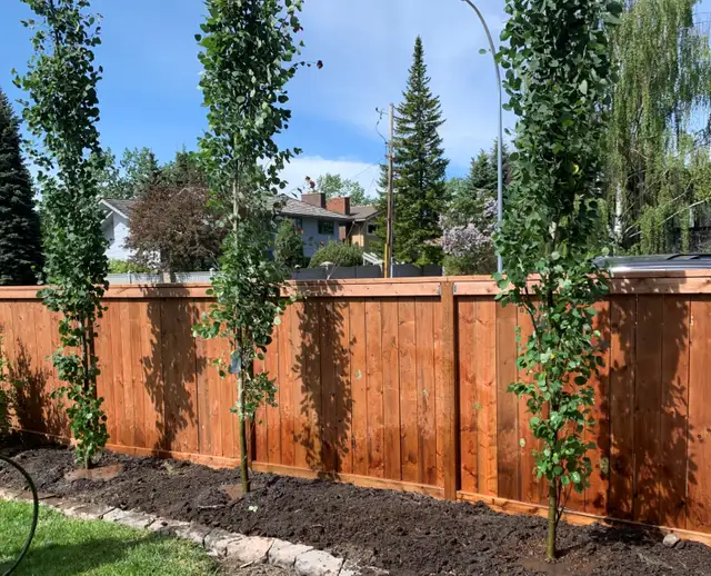 Seeking Landscaping Labourer - Photo 2