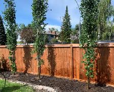 Seeking Landscaping Labourer - Photo 2