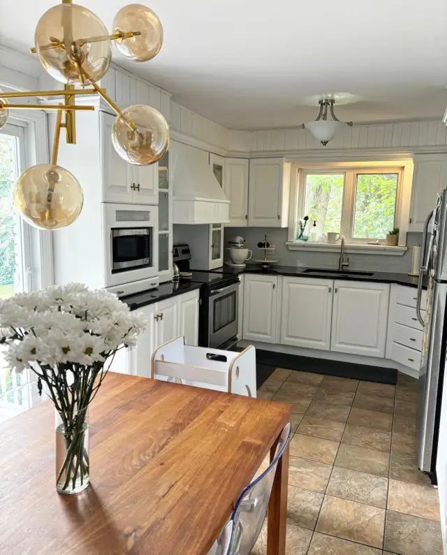 5 1/2 avec 6000pi2 de cour  et spa