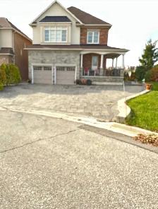 ⭐️ Bright 1-Bedroom Walkout separate entrance  upper Thornhill