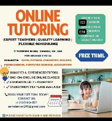 $25 online tutor