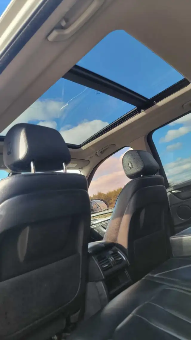 Saftied 2014 BMW x5 35ix - Photo 7