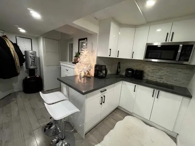 one bedroom basment- Vaughan - Photo 5