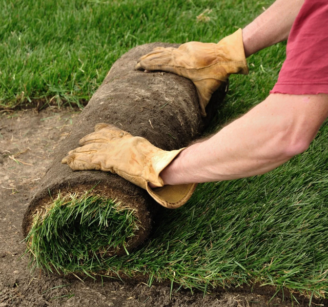 Yard Levelling & Landscaping – Fast, Clean, Affordable - Photo 3