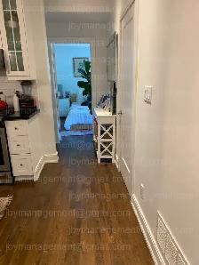 Bright, modern 2-bedroom apartment in Annex - Photo 7
