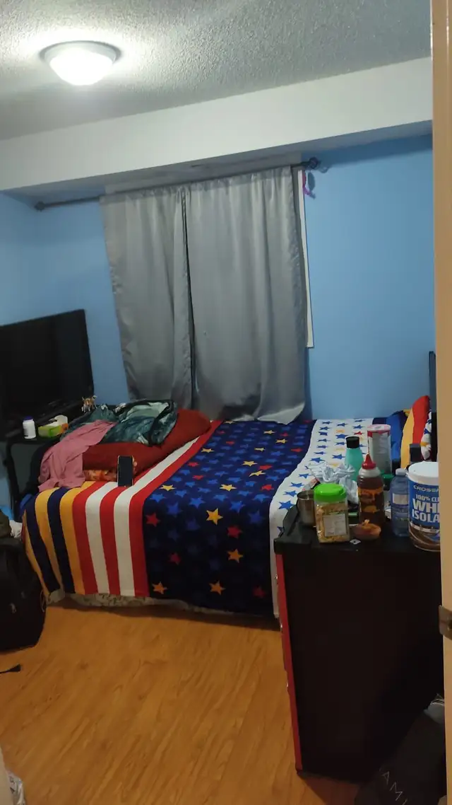 1 Bed 1 Bath Apartment