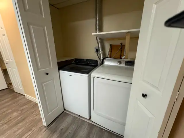 Bright 1 Bedroom Apartment – Ground Level (Not a Basement) - Photo 7