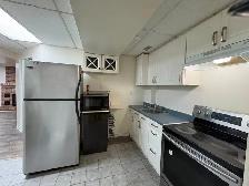 Bright 1 Bedroom Apartment – Ground Level (Not a Basement) - Photo 8