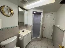 Bright 1 Bedroom Apartment – Ground Level (Not a Basement) - Photo 9