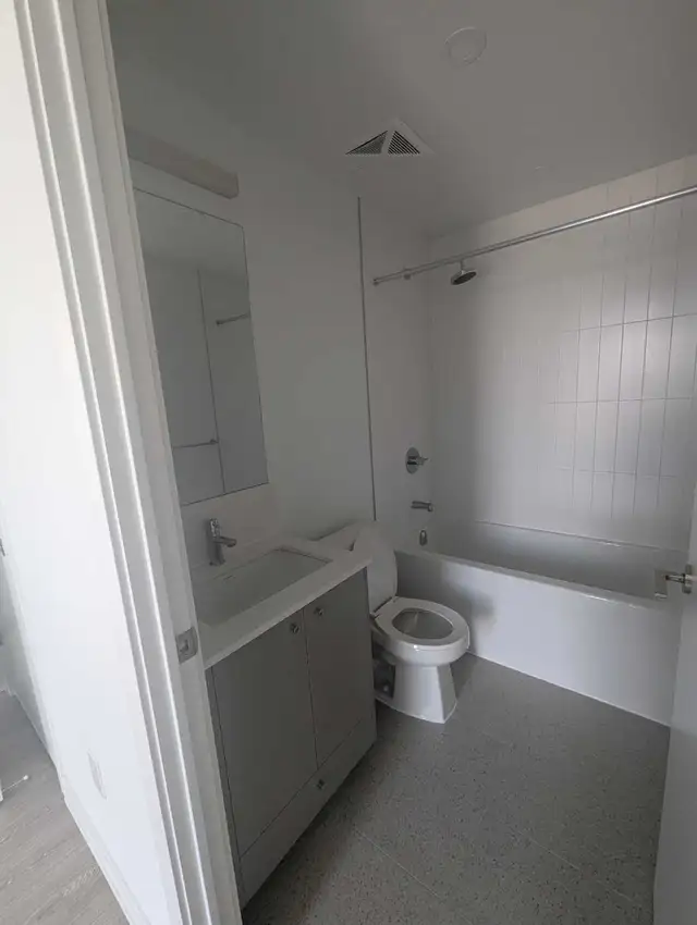 Beautiful Large Master Bedroom w Private Bath - Photo 6