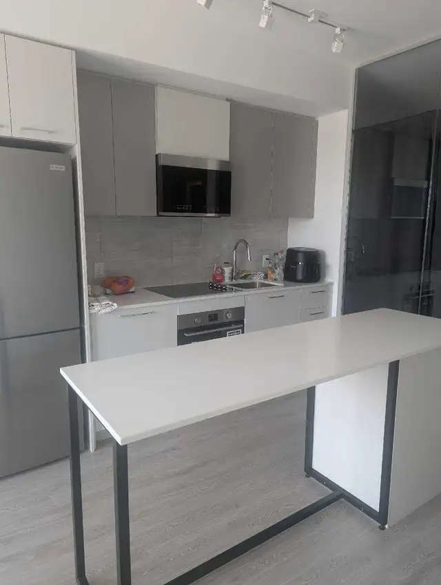 Beautiful Large Master Bedroom w Private Bath - Photo 8