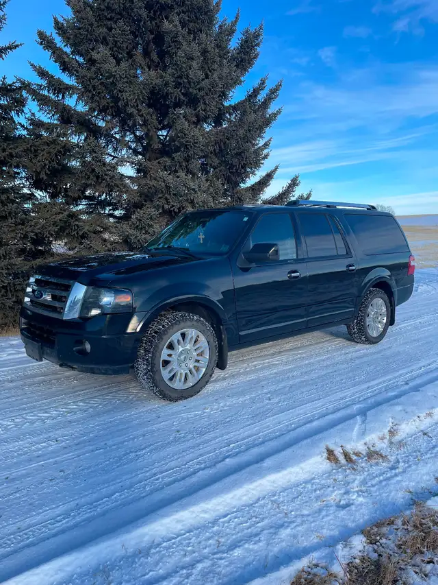 Ford Expedition Limited max