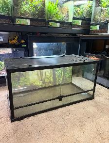 thrive 36x18x18 terrarium