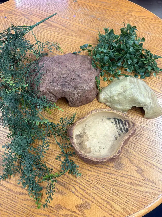 thrive 36x18x18 terrarium - Photo 2