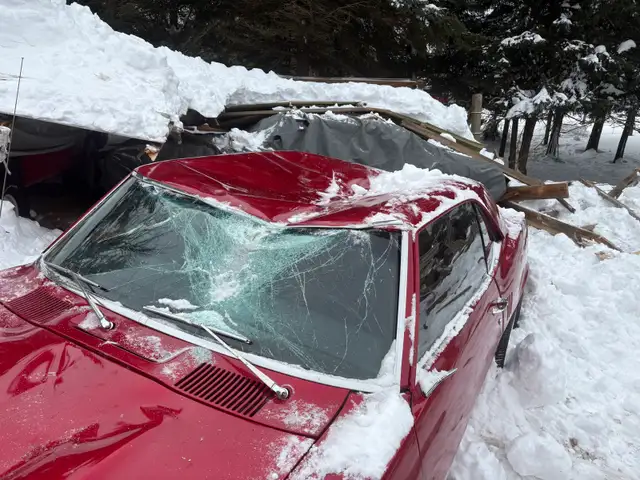 1969 Beaumont,68 Firebird - Photo 3