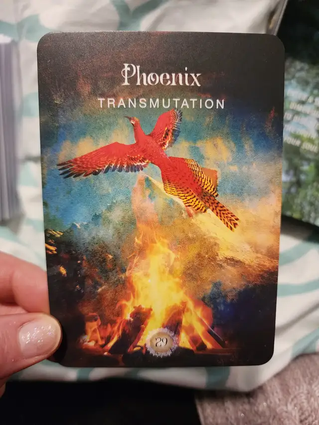 Tarot Reading - Photo 3