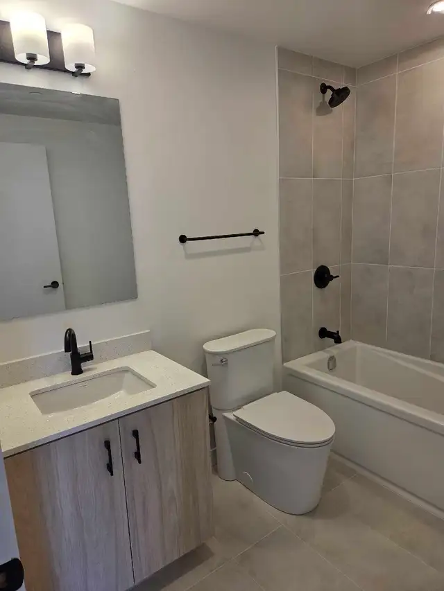 Brand New 1 Bedroom  Den Condo - Photo 8