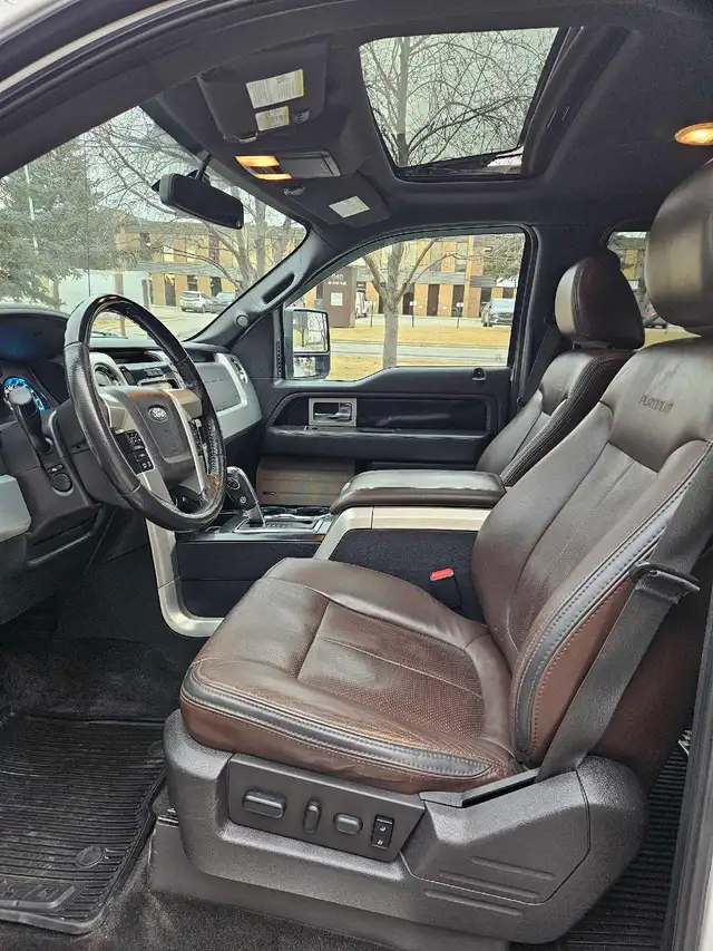 2011 Ford F-150 Platinum 3.5L V6 EcoBoost - Photo 5