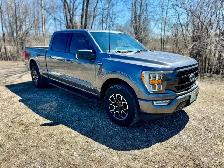2022 Ford F-150 XLT FX4 6.5' Box Hybrid Clean Carfax | Pano Roof