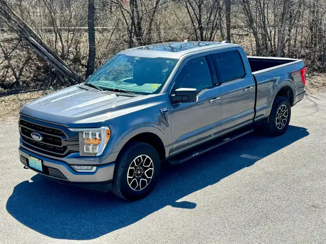 2022 Ford F-150 XLT FX4 6.5' Box Hybrid Clean Carfax | Pano Roof - Photo 8