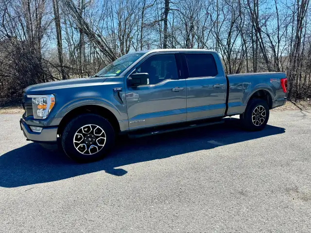 2022 Ford F-150 XLT FX4 6.5' Box Hybrid Clean Carfax | Pano Roof - Photo 11