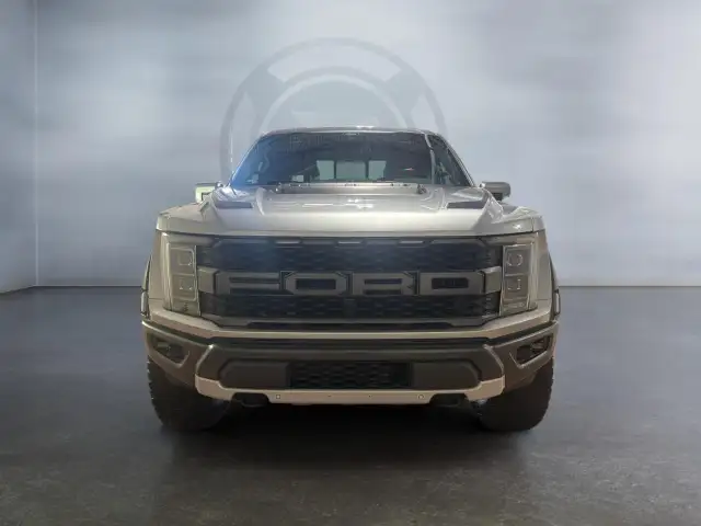 2021 Ford F-150 Raptor - Photo 6