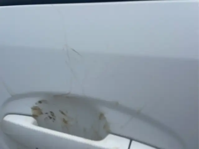 2005 Toyota Prius - Photo 31