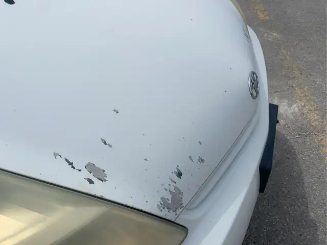 2005 Toyota Prius - Photo 35