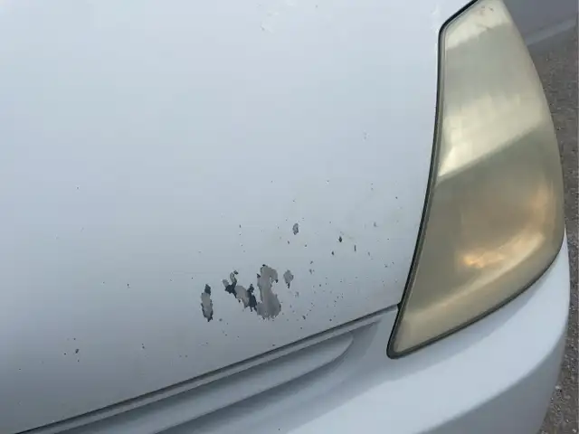 2005 Toyota Prius - Photo 36