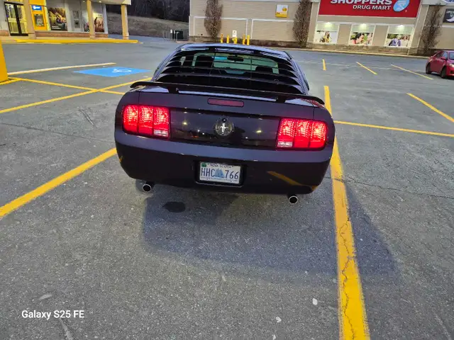 2005 mustang - Photo 3