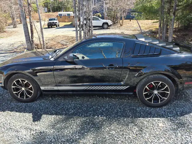 2005 mustang - Photo 4