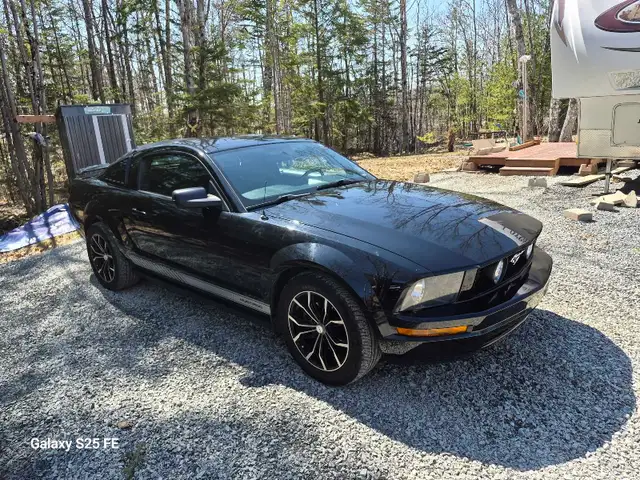 2005 mustang - Photo 10