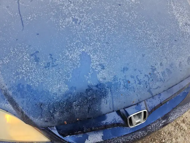 2004 Honda Civic - Photo 35